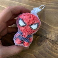  عکس8 اسکوئیشی